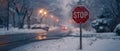 Frozen in Time: A Winter Stop Sign - AR