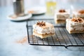 frozen tiramisu dessert slices on cooling rack