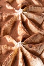 Frozen Tiramisu flavour gelato - full frame detail. Close up of creamy surface texture of Tiramisu Ice cream