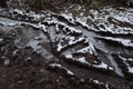 Frozen tire marks and foot marks on the muddy ground in the wintertime