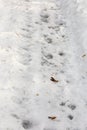 Frozen tire track on a snowy road, road blocking vertical