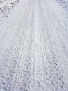 Frozen tire tracks