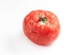Frozen tomato isolated on white background