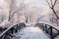 Frozen tranquility Botanical garden winter scene with a bridge, snow covered trees Royalty Free Stock Photo