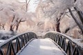 Frozen tranquility Botanical garden winter scene with a bridge, snow covered trees Royalty Free Stock Photo