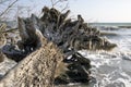 Danish winter coastline landscape with ice