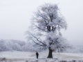 Frozen Tree With Man Royalty Free Stock Photo