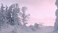 Frozen tree shakes from snowstorm.