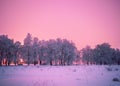 Frozen trees from fary tale Royalty Free Stock Photo