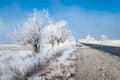 Frozen trees in Karlovo area in Bulgaria