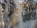 Frozen trees near Valaste waterfall Estonia Royalty Free Stock Photo