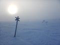 Frozen trees in northern lappland Royalty Free Stock Photo