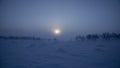 Frozen trees in northern lappland Royalty Free Stock Photo