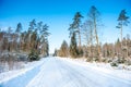 Frozen trees and snowy land road at winter