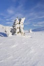 Frozen trees in a snowy winter landscape in Trysil, Norway Royalty Free Stock Photo