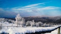 Frozen trees, winter landscape, white trees Royalty Free Stock Photo