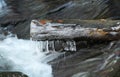 Frozen trunk above the water Royalty Free Stock Photo