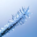 Frozen Twig Covered in Ice Crystals with Light Blue Sky Background Royalty Free Stock Photo