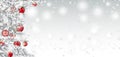 Frozen Twigs Red Baubles Side Snowfall Header