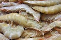 Frozen and uncooked white shrimps