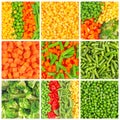 Frozen vegetables backgrounds set Royalty Free Stock Photo