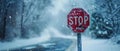 Frozen Warning: The Haunting Beauty of a Stop Sign in Winter
