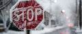Frozen Warning: The Ice-Encased Stop Sign at 0