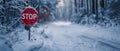 Frozen Warning: A Stop Sign in the Forest