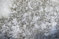 Ice textures Royalty Free Stock Photo