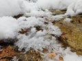 frozen water crystals of varuÃ­ous shapes in a bohemian forest brook