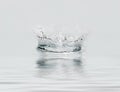 Frozen water drop. Royalty Free Stock Photo