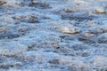 Frozen water ice textures Royalty Free Stock Photo