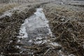 Frozen water in a lane after agricultural mechanism or vehicle on field during winter season, frozen naked trees in background.