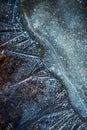 Frozen water puddle Royalty Free Stock Photo