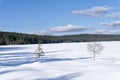 Frozen water reservoir on the Cerna Nisa river by the dam in Bedrrichov, Czech Republic, Europe. Royalty Free Stock Photo