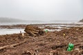 Frozen water surface in the fog. The surface is dropped and there is rubbish and wood on the shore. There is fog in the background