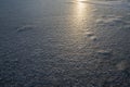 Frozen water surface with subtle ice texture and soft sunlight reflection creating calm abstract winter background Royalty Free Stock Photo