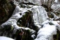 Frozen watercourse artfully on mossy scarp