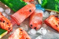 Frozen watermelon popsicles