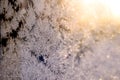 Frozen Whispers: Nature\'s Artistry in Window Frost