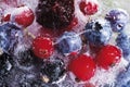 Frozen wild berries in a block of ice Royalty Free Stock Photo