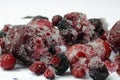 Frozen wild berries Royalty Free Stock Photo