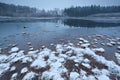 Frozen wild lake in forest