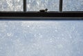 Frozen Window Pane Sash Lock Royalty Free Stock Photo