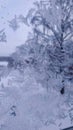 Frozen window in the winter