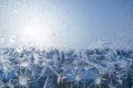Frozen window in winter time. Frost pattern on the window. Icy flowers on a glass Royalty Free Stock Photo