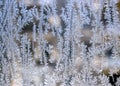 Frozen windowglass Royalty Free Stock Photo