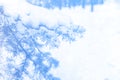 Frozen winter background. Blue ice winter background with tree branch, texture blue wallpaper Royalty Free Stock Photo