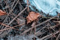 Frozen winter lake, ice texture background Royalty Free Stock Photo