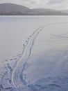 Frozen winter lake with sled tracks in the snowy surface Royalty Free Stock Photo